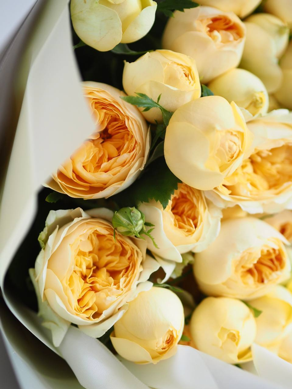 Розы Сильва Санни в букете S