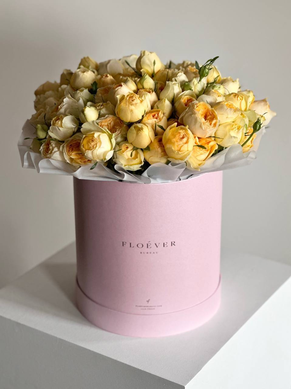 Розы Сильва Санни в коробке XL