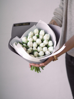 Тюльпаны Антарктика в букете S