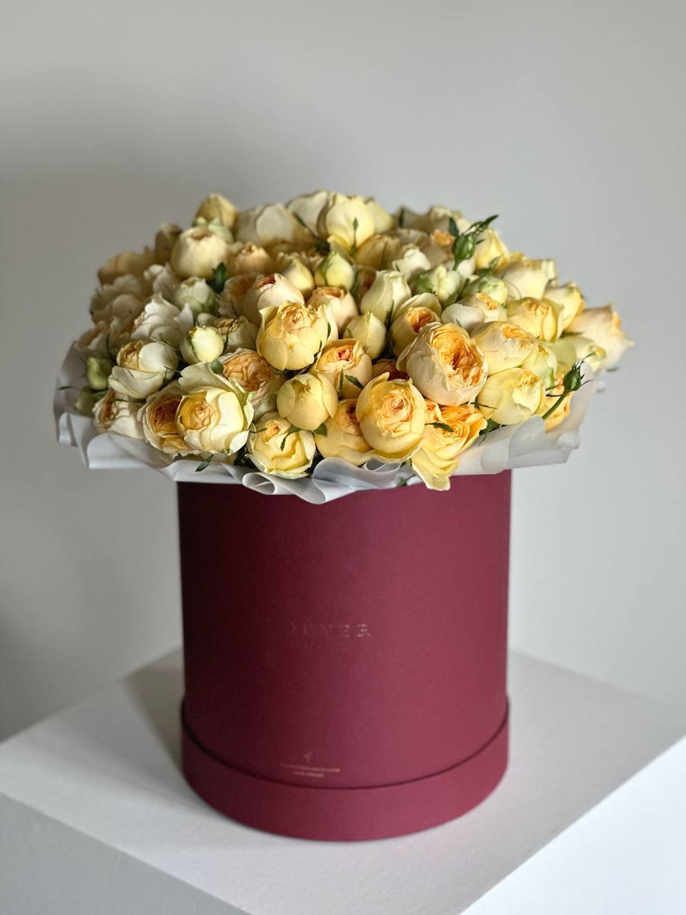 Розы Сильва Санни в коробке XL