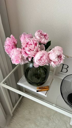 IMG_0847.jpg