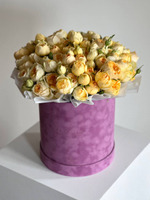 Розы Сильва Санни в коробке XL